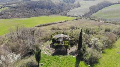 Vendita Multivani, Radicofani