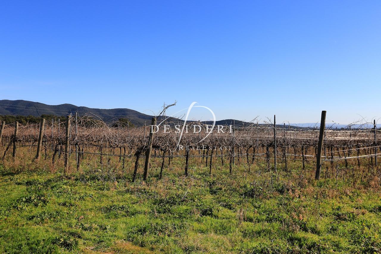 Vendita Altri immobili, Castiglione della Pescaia foto