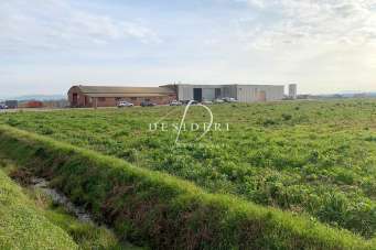 Vendita Locali commerciali, Grosseto