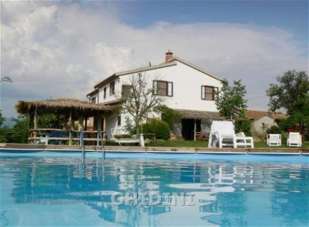 Vendita Multivani, Campagnatico