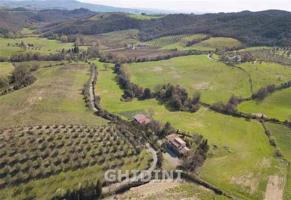 Vendita Multivani, Cinigiano foto
