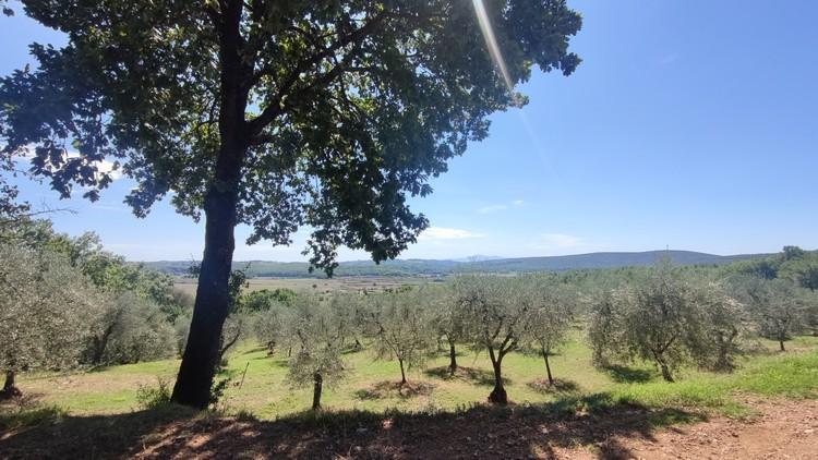 Vendita Monovano, Monteriggioni foto