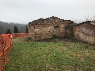 Vendita Multivani, Monteroni d'Arbia foto