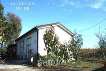 Vendita Multivani, Roccastrada Vendita Multivani, Roccastrada