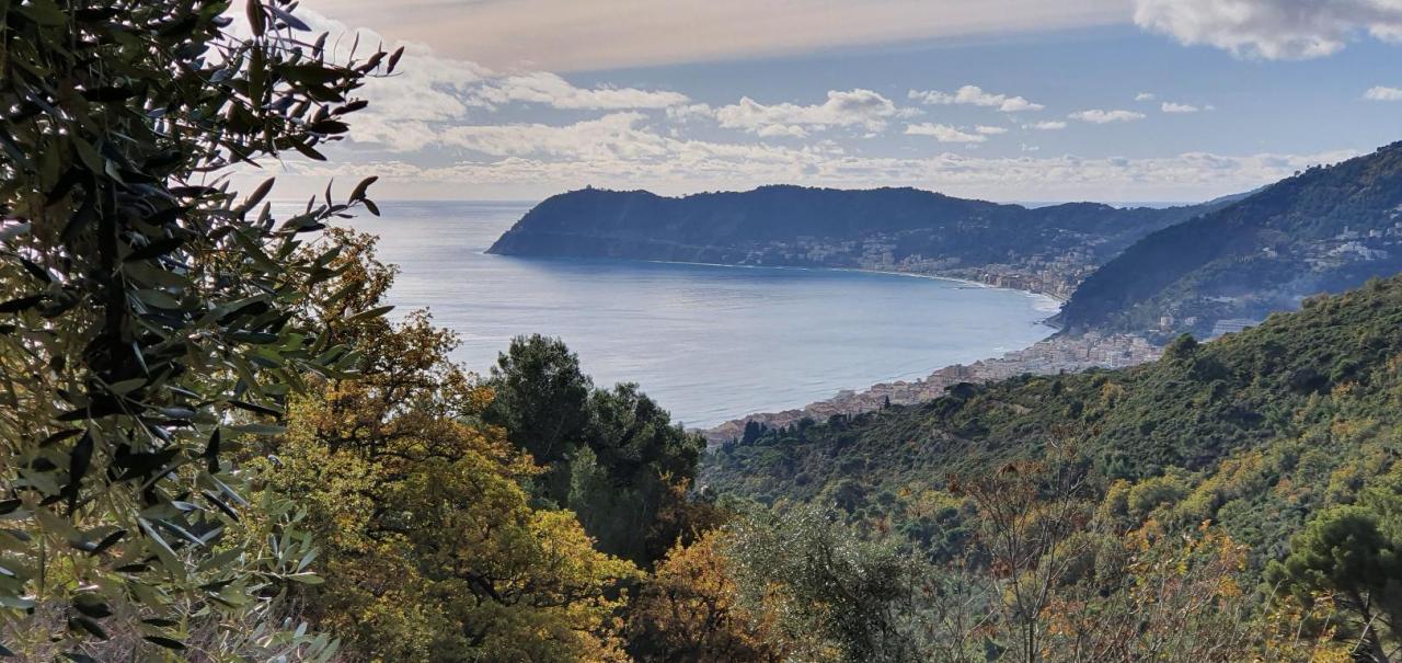 Vendita Case, Alassio foto