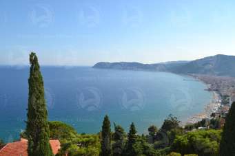 Vendita Trivani, Alassio