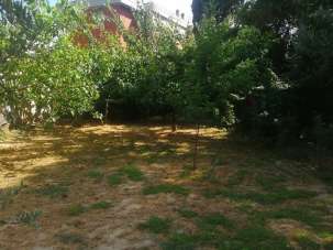 Venta Trivani, Empoli