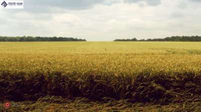 Vendita Monovano, Desio Vendita Monovano, Desio