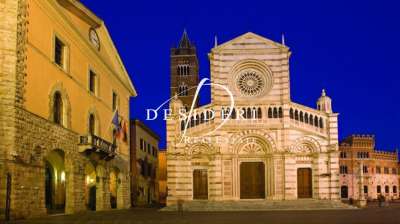 Vendita Quadrivani, Grosseto