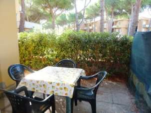 Vendita Trivani, Cecina