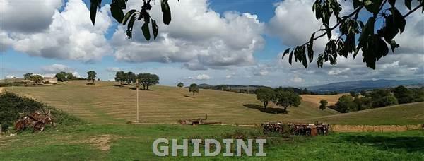 Vendita Monovano, Scansano foto