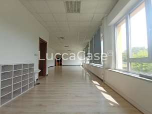 Renta Ufficio, Lucca