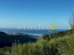 Vendita vendita, Vallebona Vendita vendita, Vallebona