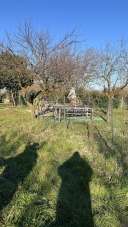 Vendita Terreno Agricolo, Corbetta Vendita Terreno Agricolo, Corbetta