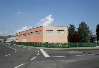 Vendita vendita, Erba