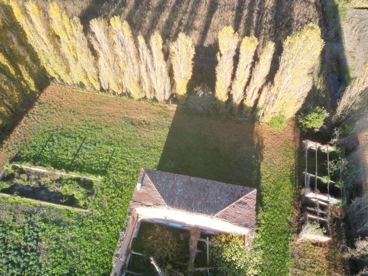 Vendita Loft, mansarde e attici, Casaleone foto