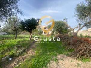 Vendita Casa indipendente, Torricella