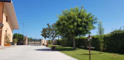 Affitto Bivani, Miglianico