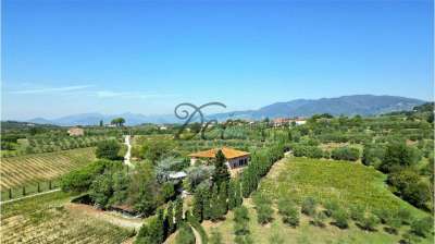 Sale vendita, Montecarlo Sale vendita, Montecarlo