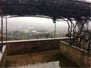 Vendita vendita, Montecarlo