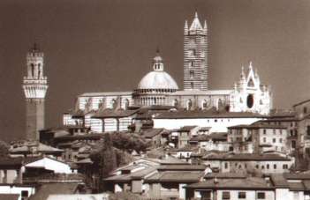 Vendita ATTIVITA', Siena