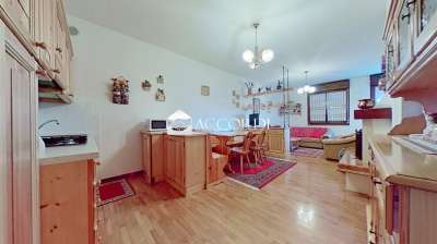 Venta Trivani, Belluno