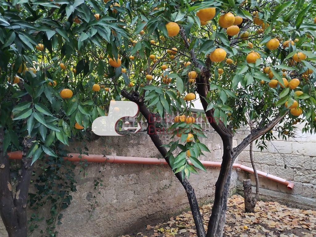 Vendita Negozio, Capurso foto