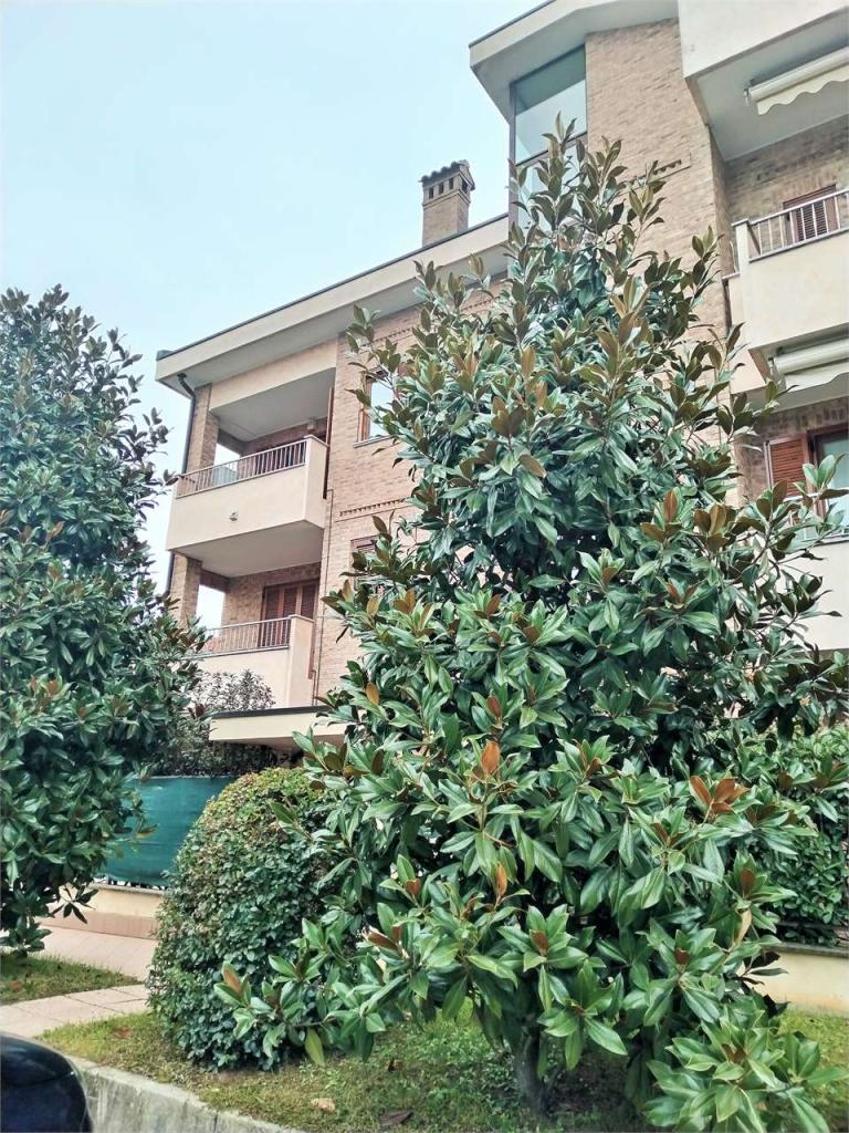 Vendita vendita, Desio foto