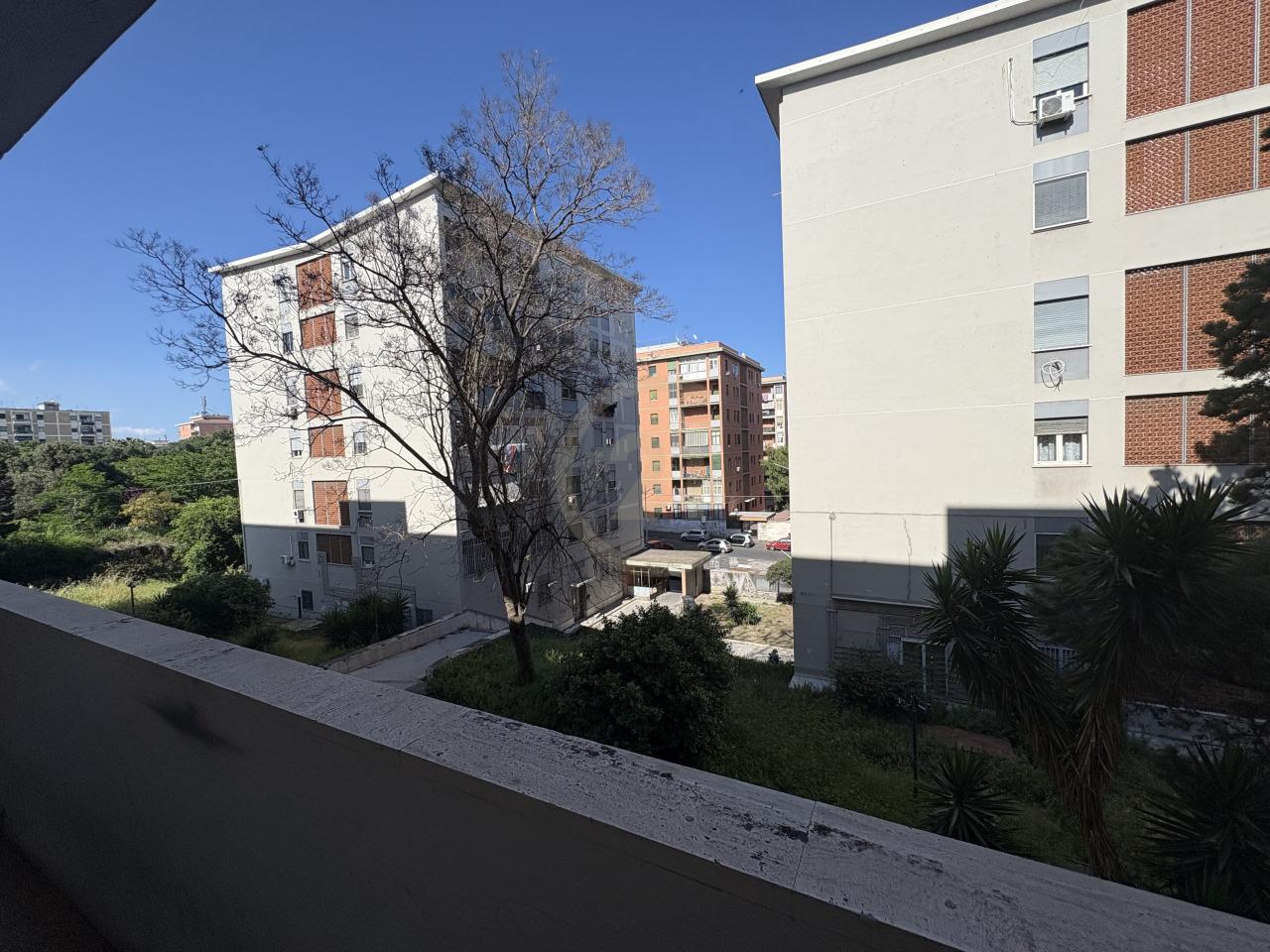 Vendita Bivani, Catania foto