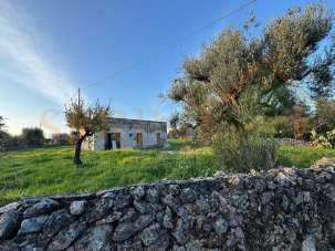 Venta Trivani, Monopoli