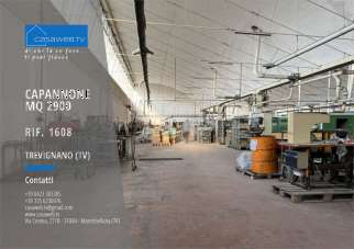 Affitto affitto, Trevignano