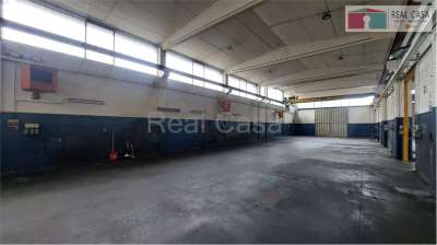 Affitto affitto, Modena