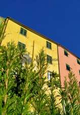 Venta Pentavani, Fivizzano