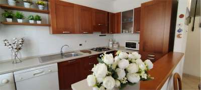 Venta vendita, Ameglia