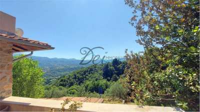 Vendita vendita, Molazzana