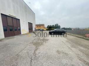 Affitto Quadrivani, Osimo