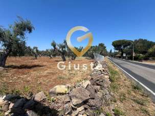 Venda Terreno, Mesagne