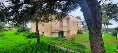 Sale vendita, Marsala