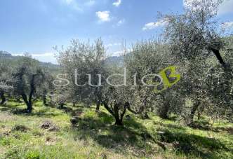 Vendita vendita, Seborga Vendita vendita, Seborga