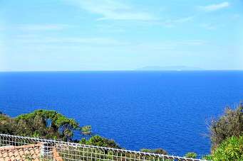 Verkauf Multivani, Marciana