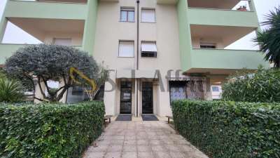 Renta 2 vetrine, Senigallia