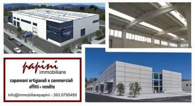 Renta Roomed, Carrara