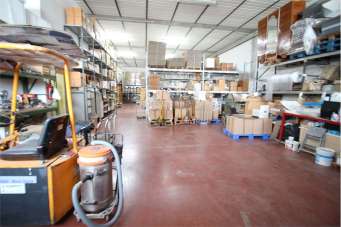 Vendita vendita, Pesaro