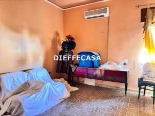 Vendita vendita, Marsala