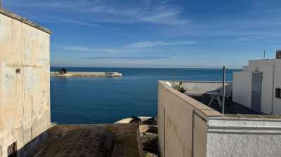 Venta Trivani, Monopoli