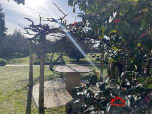 Rent Four rooms, Massa