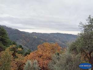 Venta Villa, Camaiore