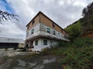 Venta Capannone, Cupra Marittima