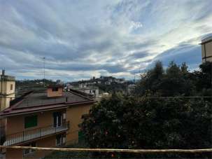 Venta vendita, Frosinone