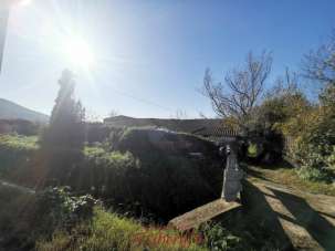 Venta Trivani, Massarosa